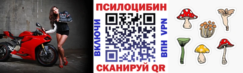 Галлюциногенные грибы Psilocybine cubensis  Купить закладки  Новотитаровская 